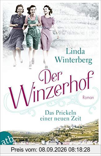 Der Winzerhof – Das Prickeln einer neuen Zeit: Roman (Winzerhof-Saga, Band 1)