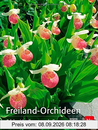 Freiland-Orchideen: Erfolgreich pflanzen und pflegen