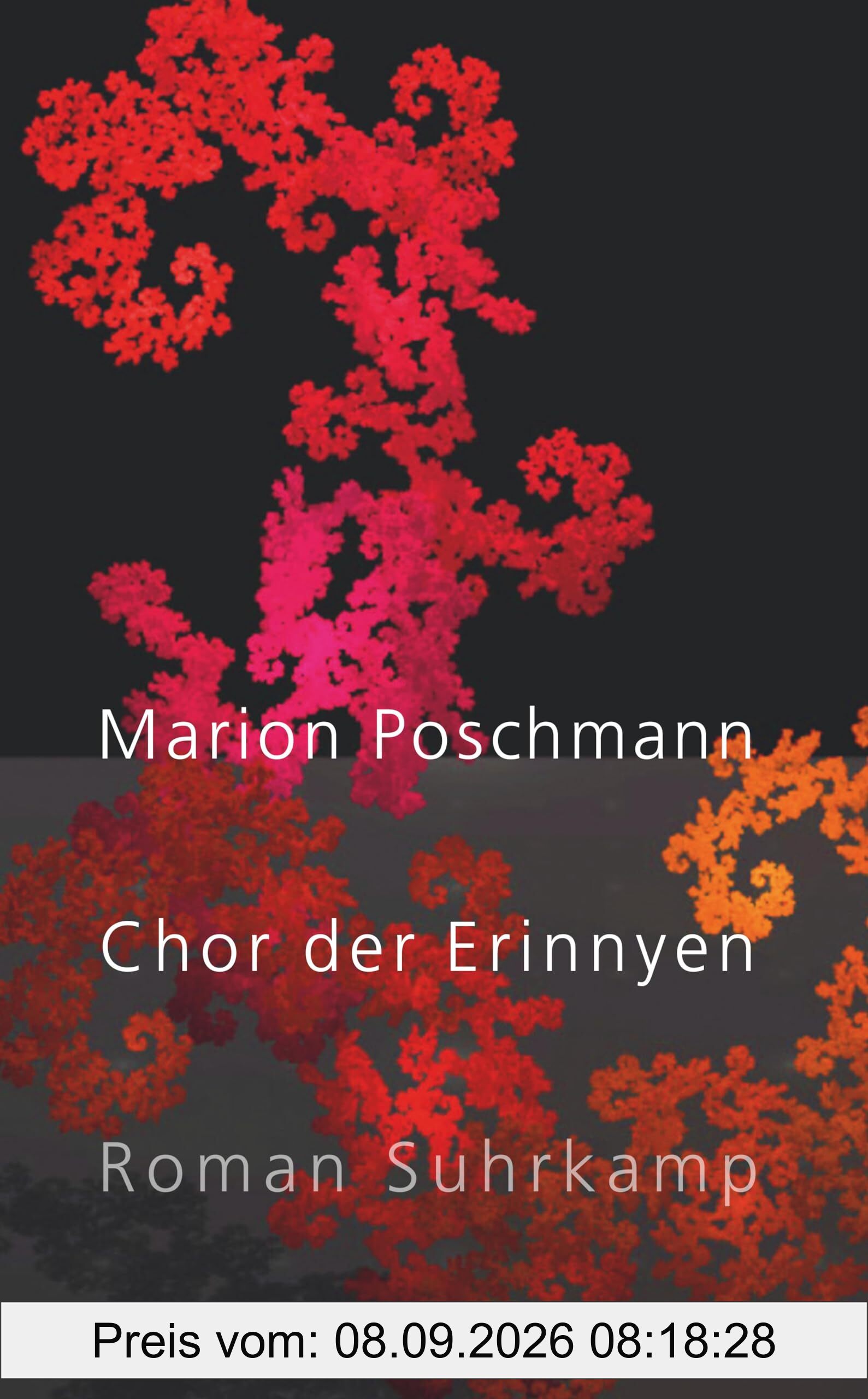 Chor der Erinnyen: Roman | Die Parallelgeschichte zum Bestseller »Die Kieferninseln«