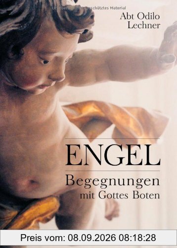Engel: Begegnungen mit Gottes Boten
