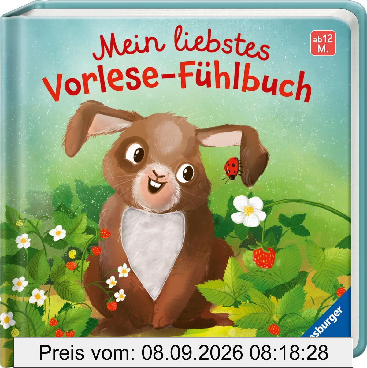 Mein liebstes Vorlese-Fühlbuch: Der kleine Hase - Erstes Buch mit kuscheligen Fühlteilen - für Kinder ab 12 Monaten