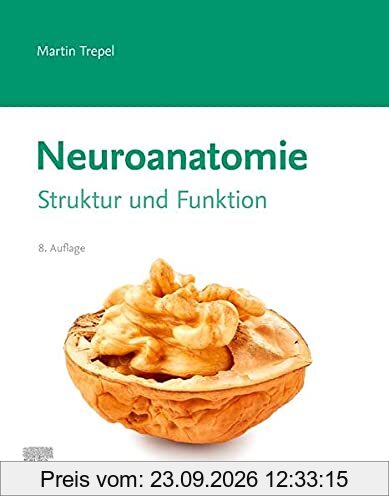 Neuroanatomie: Struktur und Funktion