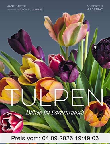 Tulpen: 50 Sorten im Porträt