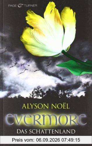 Evermore 3 - Das Schattenland: Roman