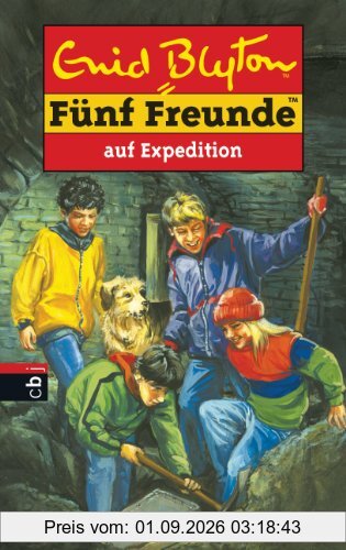 Fünf Freunde, Neue Abenteuer, Bd.30, Fünf Freunde auf Expedition