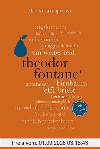 Theodor Fontane. 100 Seiten (Reclam 100 Seiten)