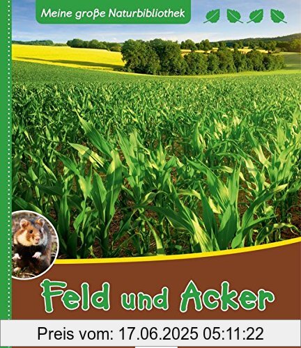 Binding : Gebundene Ausgabe, Label : Esslinger Verlag in der Thienemann-Esslinger Verlag GmbH, Publisher : Esslinger Verlag in der Thienemann-Esslinger Verlag GmbH, medium : Gebundene Ausgabe, numberOfPages : 32, publicationDate : 2017-03-21, authors : Axel Gutjahr, languages : german, ISBN : 3480233325