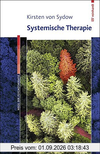 Systemische Therapie (Wege der Psychotherapie)