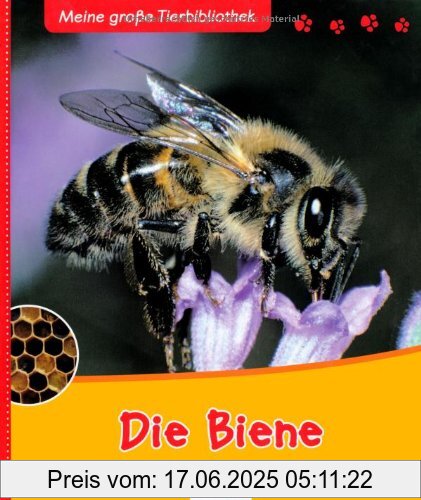 Binding : Gebundene Ausgabe, Edition : Veränderte Neuauflage, Label : Esslinger Verlag J. F. Schreiber, Publisher : Esslinger Verlag J. F. Schreiber, medium : Gebundene Ausgabe, numberOfPages : 32, publicationDate : 2008-01-21, authors : Paul Starosta, languages : german, ISBN : 3480224075