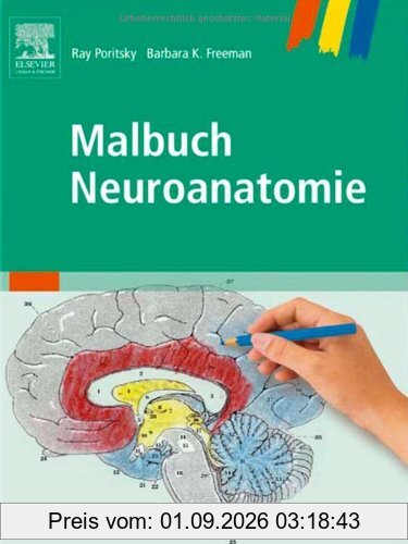 Malbuch Neuroanatomie