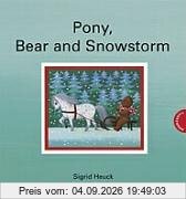 Pony, Bear and Snowstorm