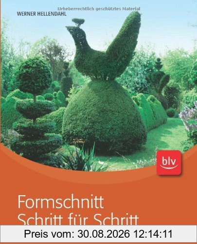 Formschnitt Schritt für Schritt