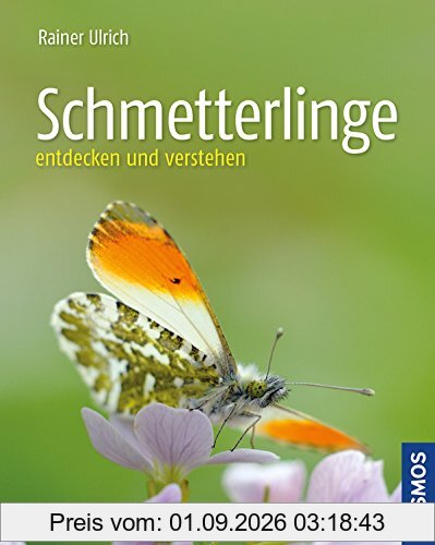 Schmetterlinge: entdecken und verstehen