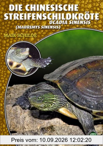 Die Chinesische Streifenschildkröte: Ocadia sinensis (Art für Art)