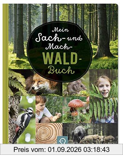 Mein Sach- und Mach-Wald-Buch