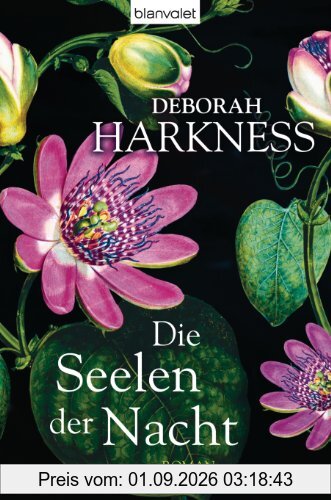 Die Seelen der Nacht: Roman