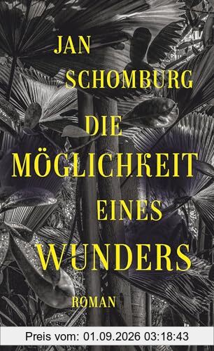 Die Möglichkeit eines Wunders: Roman