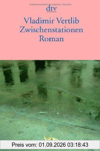 Zwischenstationen: Roman