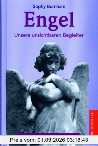 Engel. Unsere unsichtbaren Begleiter. Erfahrungen und Reflexionen