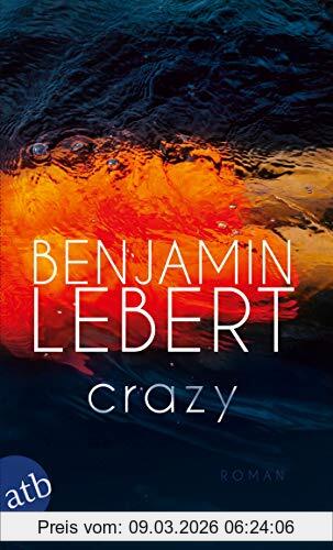 Benjamin Lebert Crazy, Roman