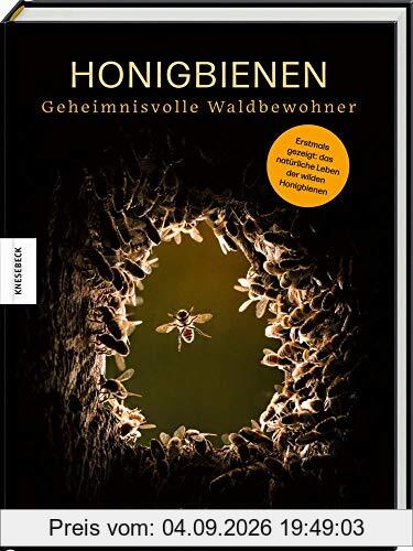 Honigbienen - geheimnisvolle Waldbewohner