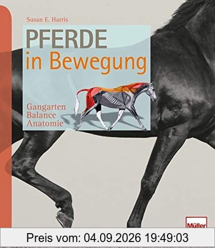 Pferde in Bewegung: Gangarten - Balance - Anatomie
