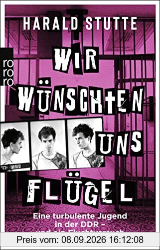 Wir wünschten uns Flügel: Eine turbulente Jugend in der DDR - und ein Fluchtversuch