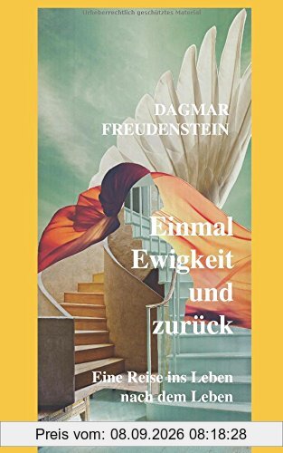 Einmal Ewigkeit und zurück: Eine Reise ins Leben nach dem Leben