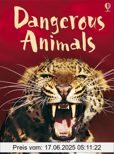 Binding : Gebundene Ausgabe, Label : Usborne Publishing, Publisher : Usborne Publishing, NumberOfItems : 1, medium : Gebundene Ausgabe, numberOfPages : 32, publicationDate : 2008-05-30, authors : Catriona Clarke, languages : english, ISBN : 0746088639