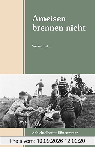 Ameisen brennen nicht: Schicksalhafter Eifelsommer