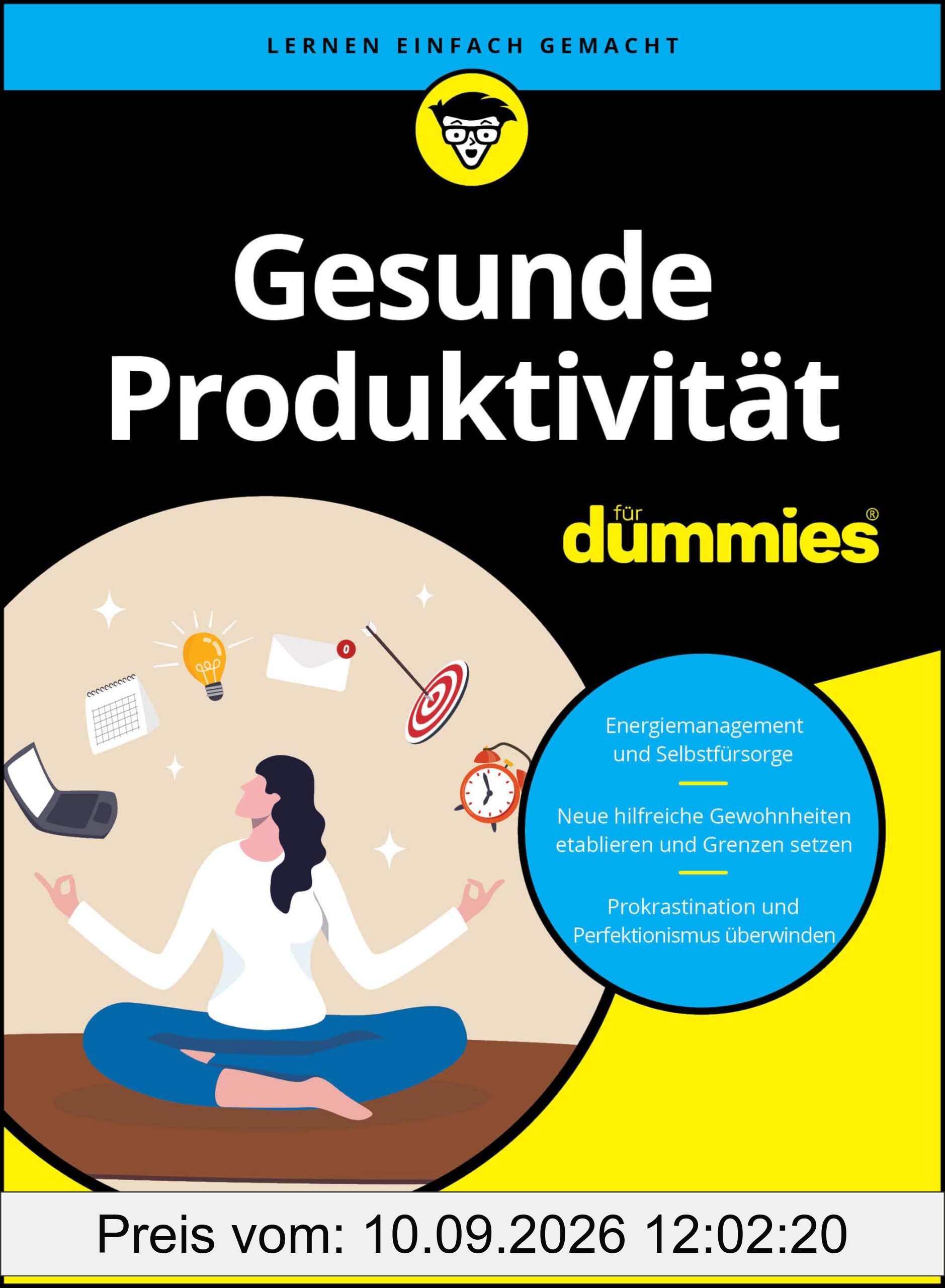 Gesunde Produktivität für Dummies: Mehr schaffen ohne mehr Stress