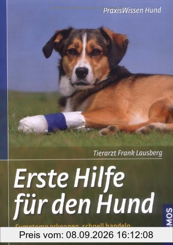 Erste Hilfe für den Hund: Symptome erkennen, schnell handeln