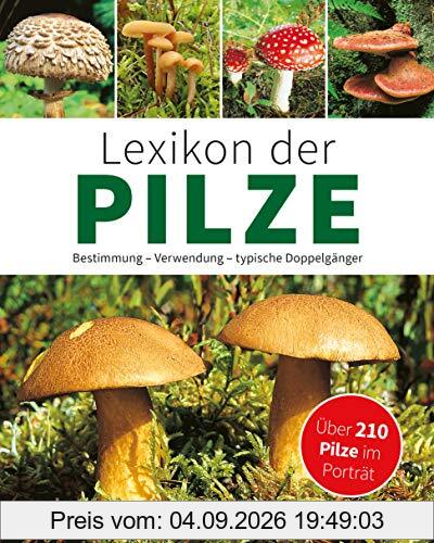 Lexikon der Pilze: Bestimmung, Verwendung, typische Doppelgänger