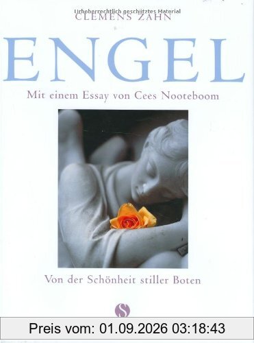 Engel. Von der Schönheit stiller Boten