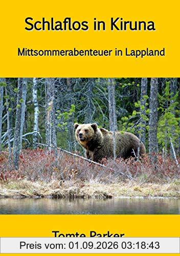 Schlaflos in Kiruna: Mittsommerabenteuer in Lappland