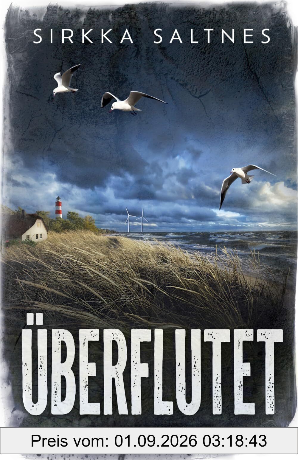 Überflutet: Nordseethriller