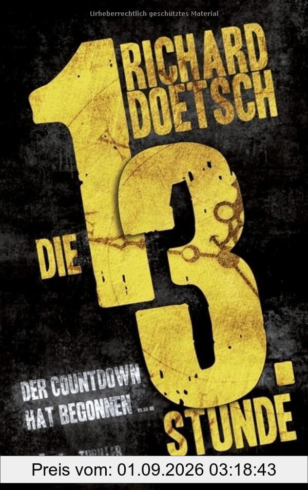 Die dreizehnte Stunde: Thriller (Lübbe Belletristik)