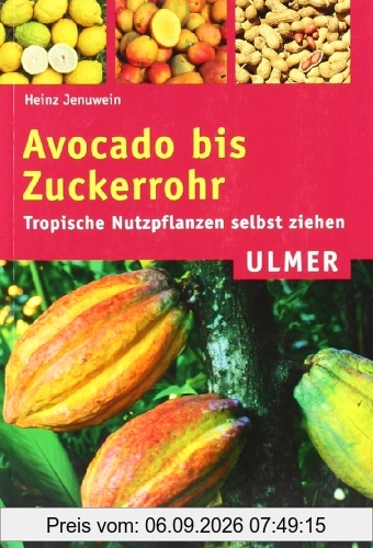 Avocado bis Zuckerrohr: Tropische Nutzpflanzen selbst ziehen