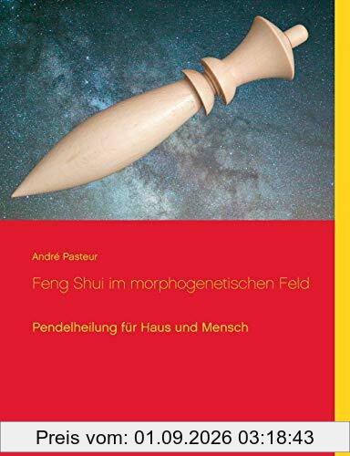 Feng Shui im morphogenetischen Feld: Pendelheilung für Haus und Mensch