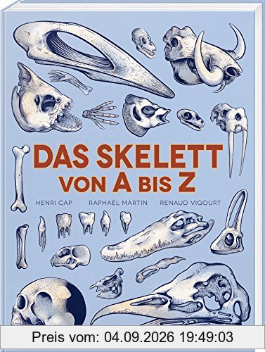 Das Skelett von A bis Z
