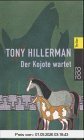 Der Kojote wartet