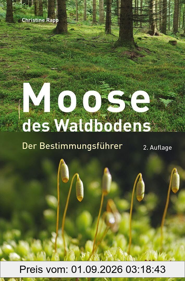 Moose des Waldbodens