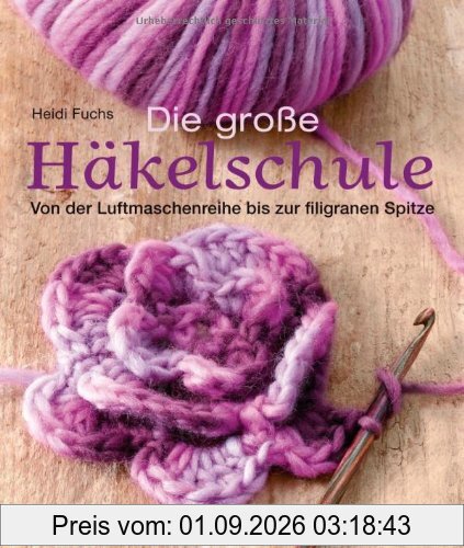 Die große Häkelschule: Von der Luftmaschenreihe bis zur filigranen Spitze