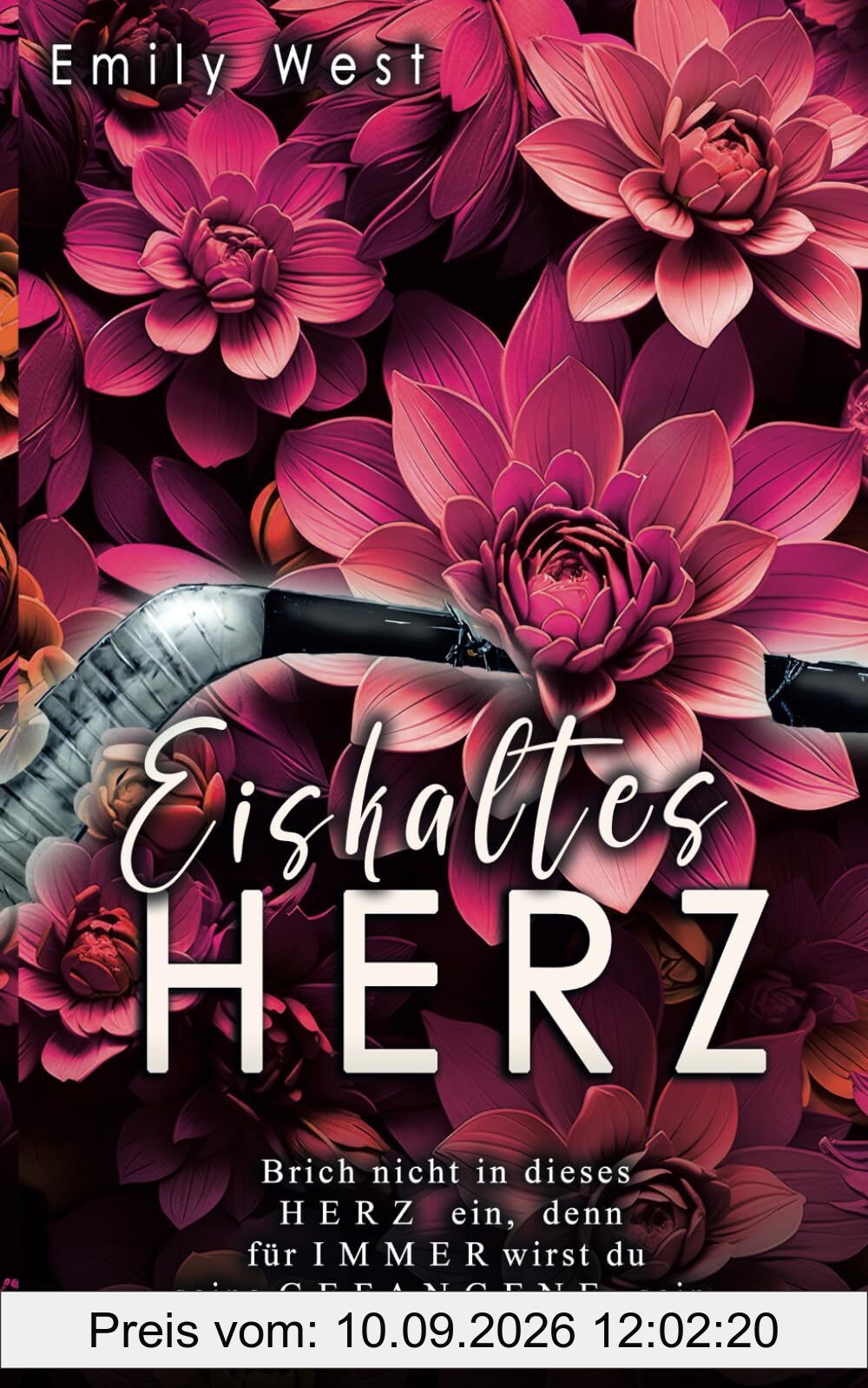 Eiskaltes Herz – (K)ein Eiskiller (Gods of Hockey, Band 4)