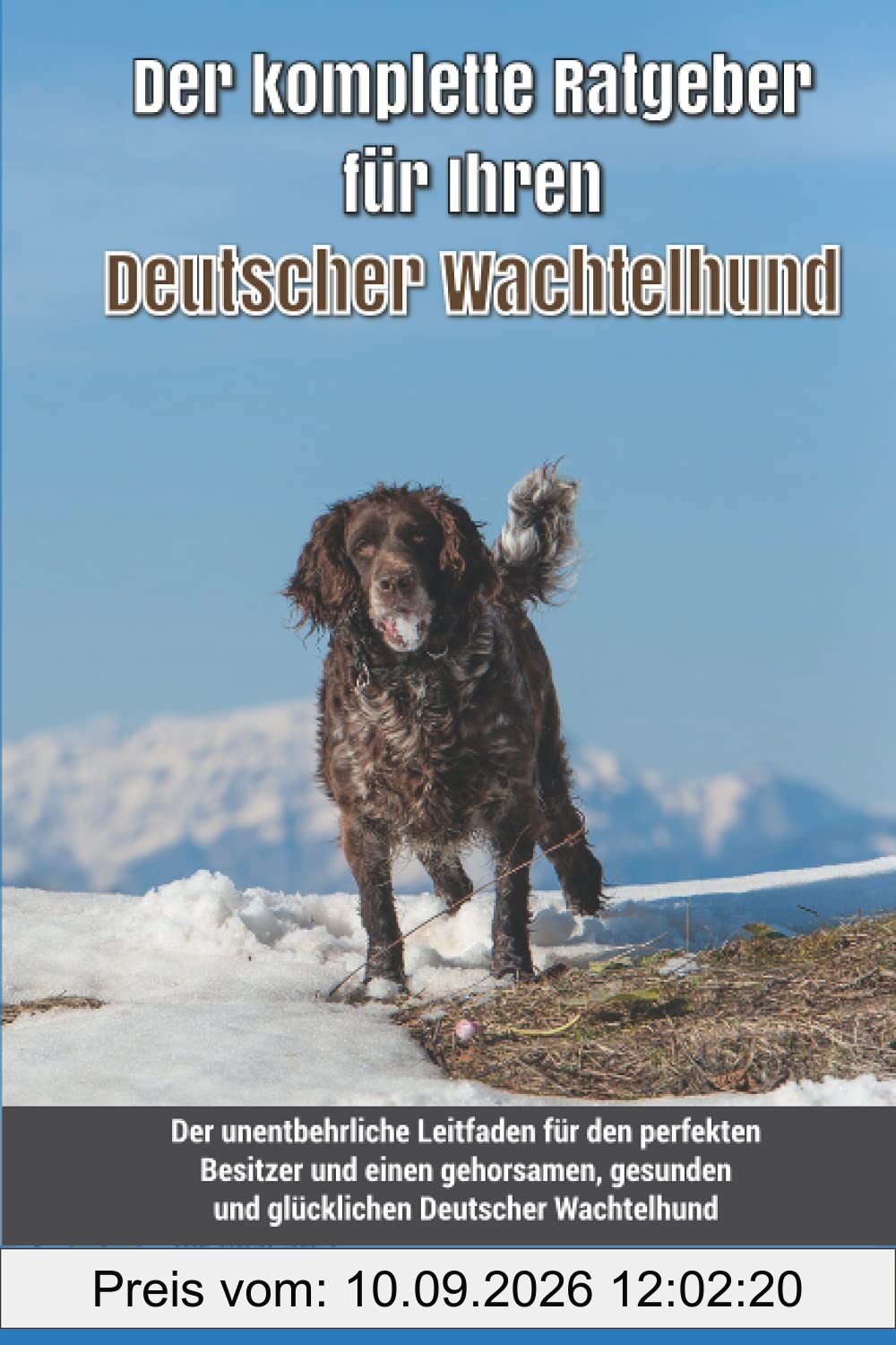 Der komplette Ratgeber für Ihren Deutscher Wachtelhund: Der unentbehrliche Leitfaden für den perfekten Besitzer und einen gehorsamen, gesunden und glücklichen Deutscher Wachtelhund