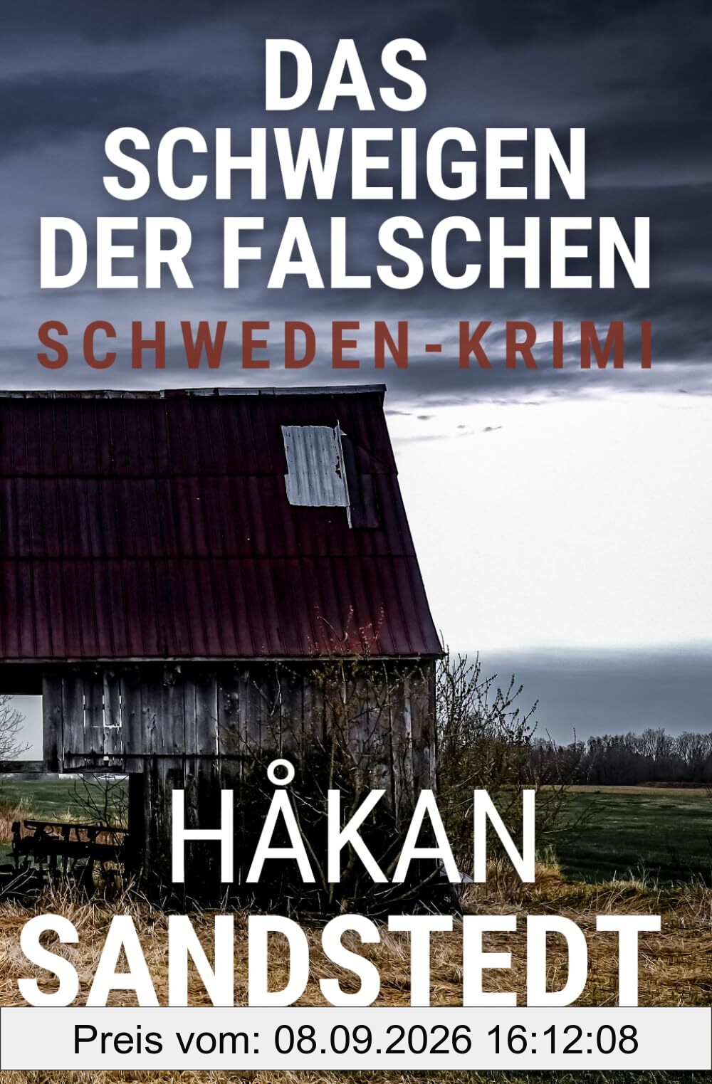 Das Schweigen der Falschen: Schwedenkrimi - Die Fälle des Ingmar Lundgren V