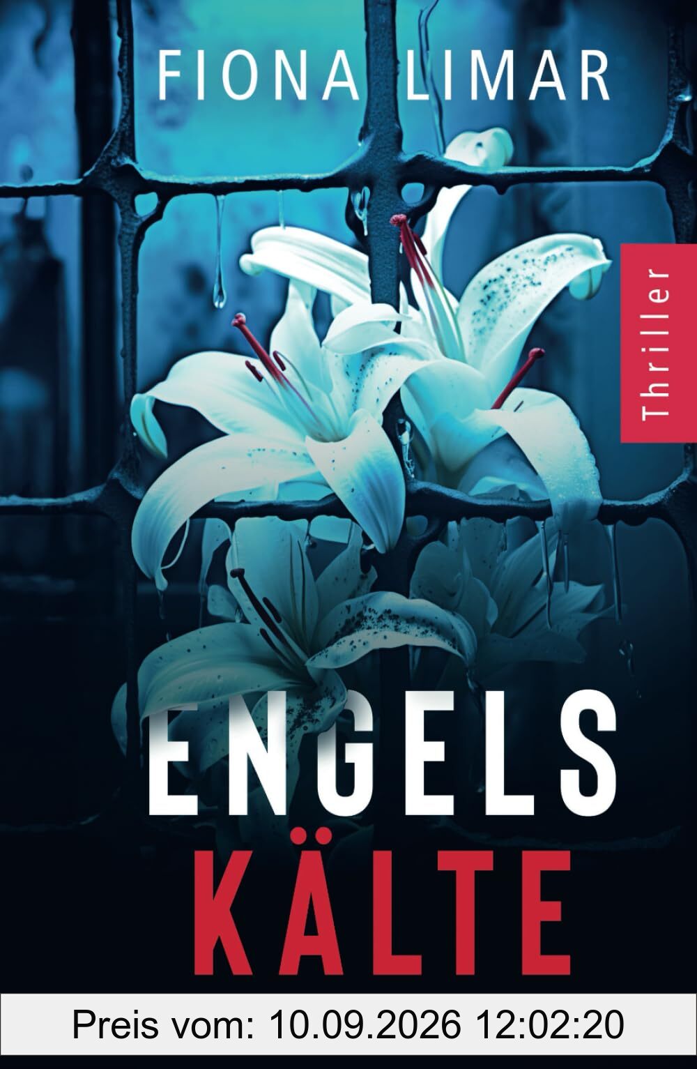 Engelskälte: Psychothriller (Psychiatrie-Thriller, Band 2)
