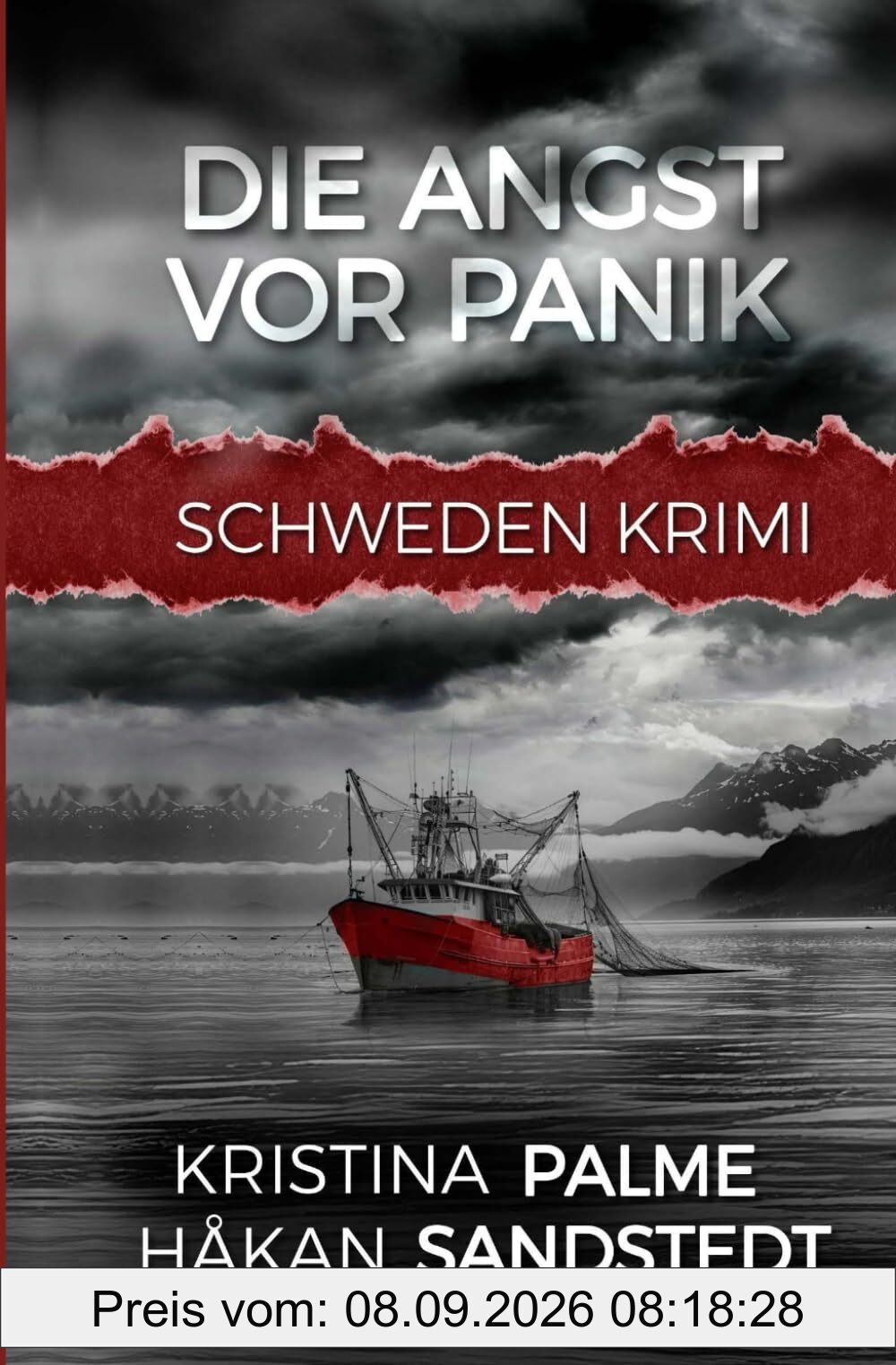 Die Angst vor Panik: Schweden Krimi (Stina Borglund, Band 6)