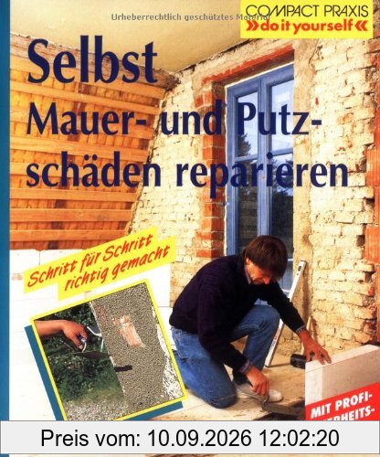 Selbst Mauer- und Putzschäden reparieren: Schritt für Schritt richtig gemacht. Mit Profi-, Sicherheits- und Ökotips