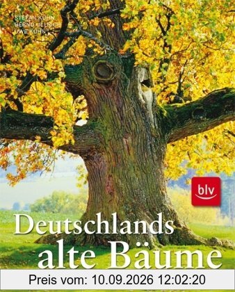 Deutschlands alte Bäume: Eine Bildreise zu den sagenhaften Baumgestalten zwischen Küste und Alpen